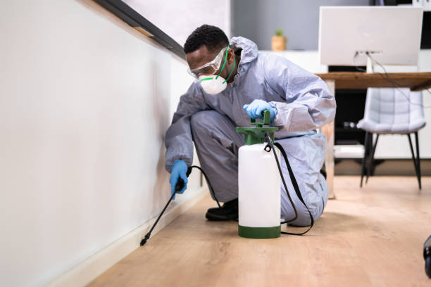 Best Residential Pest Control  in Hartford, MI